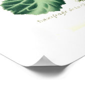 Saxifraga sarmentosa poster (Hoek)