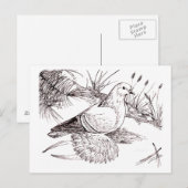 Saxon Field Pigeon Briefkaart (Voorkant / Achterkant)