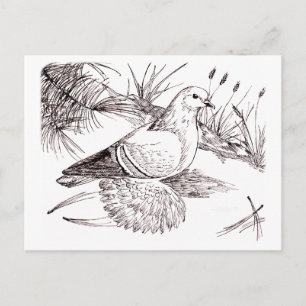 Saxon Field Pigeon Briefkaart