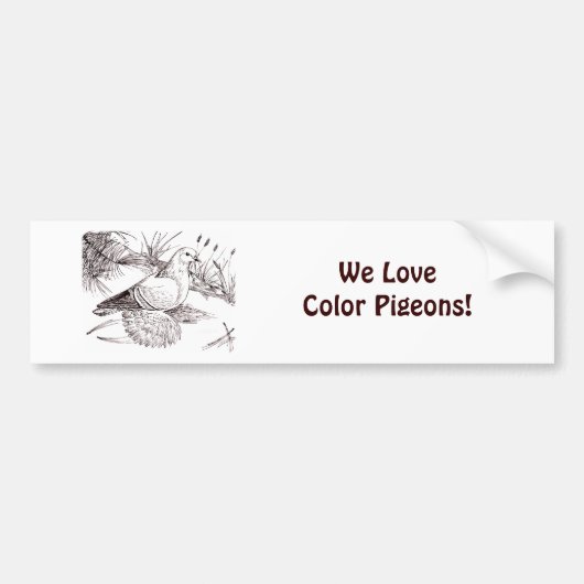 Saxon Field Pigeon Bumpersticker (Voorkant)