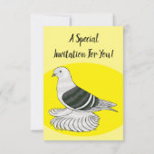 Saxon Shield duivenvogel cartoon illustratie Kaart (Achterkant)