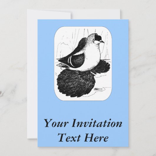 Saxon Swallow Pigeon 1978 Kaart (Voorkant)