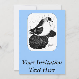 Saxon Swallow Pigeon 1978 Kaart