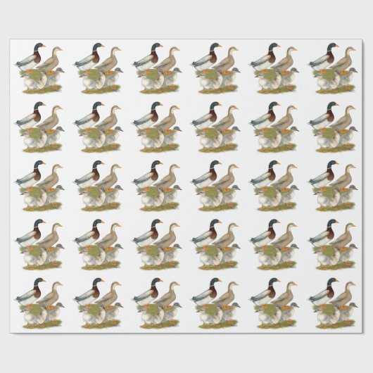 Saxony Duck Family Cadeaupapier (Vlak)