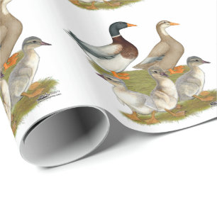 Saxony Duck Family Cadeaupapier