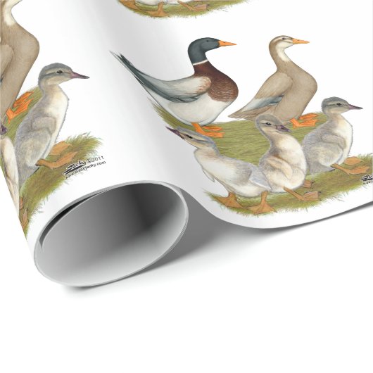 Saxony Duck Family Cadeaupapier (Rol Hoek)