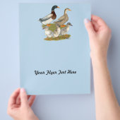 Saxony Duck Family Flyer (Hand)