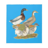 Saxony Duck Family Notitieblok (Voorkant)