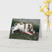 Say Mercy. Kaart (Gele Bloem)