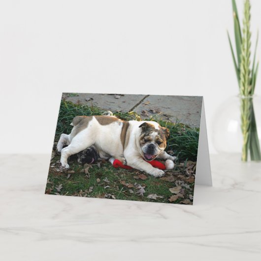 Say Mercy. Kaart (Voorkant)