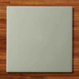 Saybrook Sage Solid Color Tegeltje