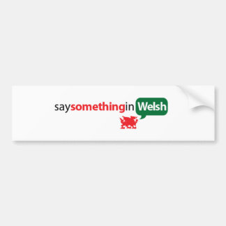 SaySomethinginWelsh Bumpersticker
