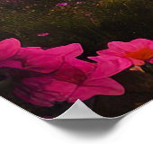 Sayyida Poster (Hoek)