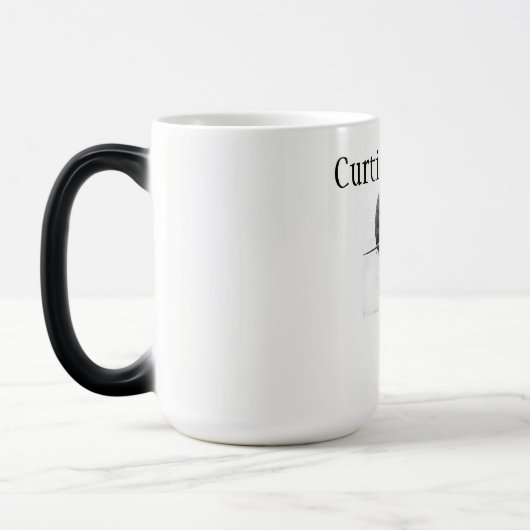 SB2C HELLDIVER 1943-1945 - Mok (Links)