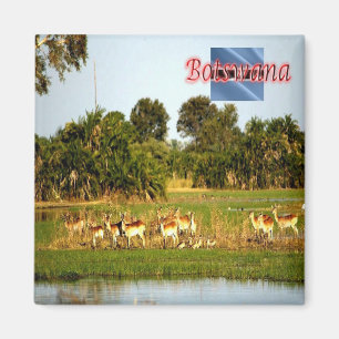sBW009 BOTSWANA, Groep Vrouw Lechwe, Fridge Magneet