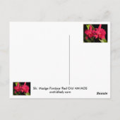 SC Madge Fordyce "Red Orb" AM/AOS Briefkaart (Achterkant)