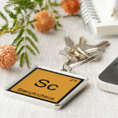 Sc - Steeplechase Grappige Scheikunde Element Symb Sleutelhanger (Zijkant)