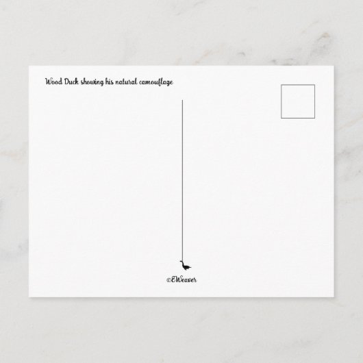 SC Wood Duck Briefkaart (Achterkant)