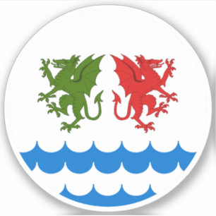 SCA Dragons Bay Vinyl Sticker