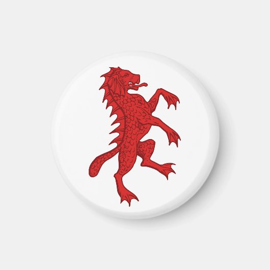 SCA Dun Carraig Magneet (Voorkant)