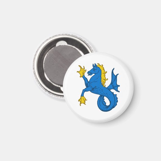 SCA Ostgardr Magneet (Voorkant / Achterkant)