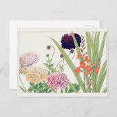 Scabiosa, Montbretia, van Tanigami Konan Briefkaart (Voorkant / Achterkant)
