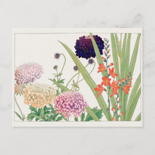 Scabiosa, Montbretia, van Tanigami Konan Briefkaart