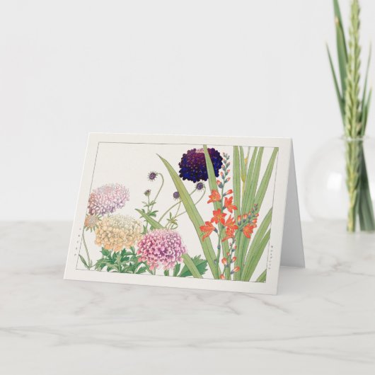 Scabiosa, Montbretia, van Tanigami Konan Kaart (Voorkant)