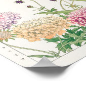 Scabiosa, Montbretia, van Tanigami Konan Poster (Hoek)