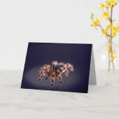 Scale Tarantula spin Kaart (Gele Bloem)