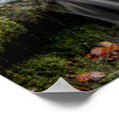 Scaleber Force Herfsten Poster (Hoek)