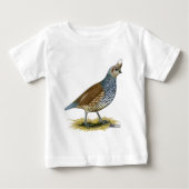 Scaled Quail (Voorkant)