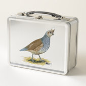 Scaled Quail (Voorkant)