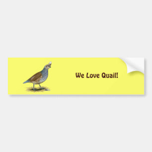 Scaled Quail Bumpersticker