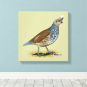 Scaled Quail Canvas Afdruk (Insitu (Houten vloer))