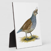 Scaled Quail Fotoplaat (Zijkant)
