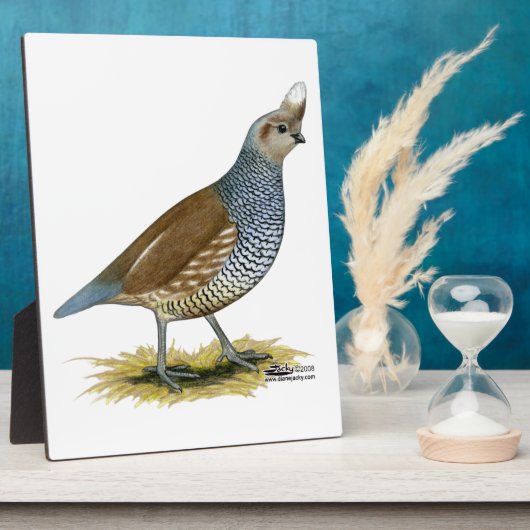 Scaled Quail Fotoplaat (Zijkant)
