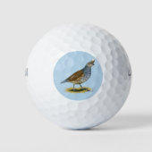 Scaled Quail Golfballen (Voorkant)