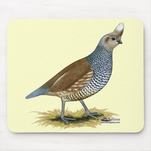 Scaled Quail Muismat (Voorkant)