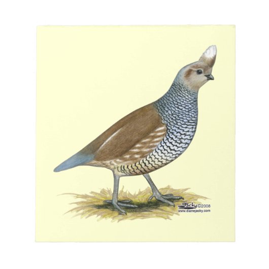 Scaled Quail Notitieblok (Voorkant)