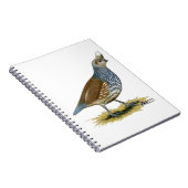 Scaled Quail Notitieboek (Rechterzijde)