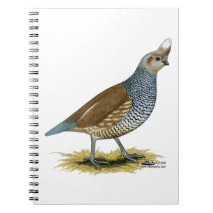 Scaled Quail Notitieboek