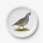 Scaled Quail Papieren Bordje (Voorkant)