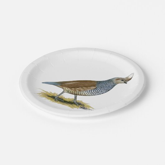 Scaled Quail Papieren Bordje (Gekanteld)