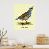 Scaled Quail Poster (Keuken)