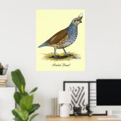 Scaled Quail Poster (Thuiskantoor)