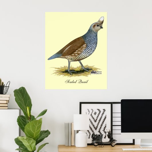 Scaled Quail Poster (Thuiskantoor)