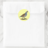 Scaled Quail Ronde Sticker (Tas)