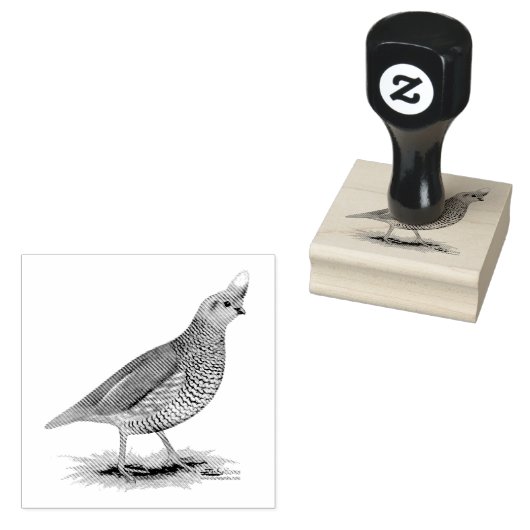 Scaled Quail Rubberstempel (Gestempeld)