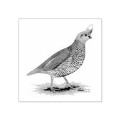 Scaled Quail Rubberstempel (Afrduk)